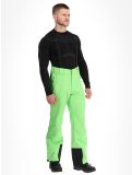 Miniatura Dare2b, Achieve II pantaloni da sci uomo Green Flash verde 