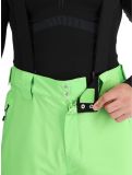 Miniatura Dare2b, Achieve II pantaloni da sci uomo Green Flash verde 