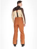 Miniatura Dare2b, Achieve II pantaloni da sci uomo Mocha Bisque beige 