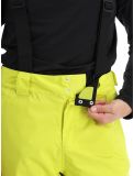 Miniatura Dare2b, Achieve II pantaloni da sci uomo Neon Spring verde 