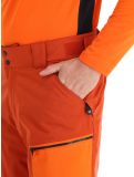 Miniatura Dare2b, Baseplate pantaloni da sci uomo Rooibos Tea / Puffins Orange arancio 