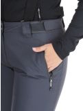 Miniatura Dare2b, Diminish pantaloni da sci donna Ebony Grey grigio 