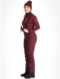 Miniatura Dare2b, Diminish pantaloni da sci donna Fig viola 