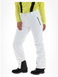 Miniatura Dare2b, Diminish pantaloni da sci donna White bianco 