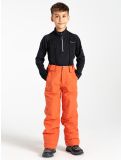 Miniatura Dare2b, Outmove II pantaloni da sci bambino Orange Rust arancio 