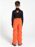 Miniatura Dare2b, Outmove II pantaloni da sci bambino Orange Rust arancio 