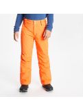 Miniatura Dare2b, Outmove Ii Pant pantaloni da sci bambino vivid arancio