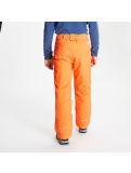 Miniatura Dare2b, Outmove Ii Pant pantaloni da sci bambino vivid arancio