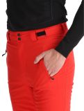 Miniatura Degre7, Aglo pantaloni da sci uomo True Red rosso 