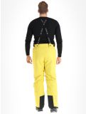 Miniatura Deluni, Icerocker Pure pantaloni da sci uomo Yellow giallo 