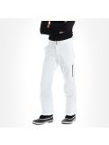 Miniatura Descente, Stock Pant pantaloni da sci uomo super bianco