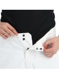 Miniatura Descente, Stock Pant pantaloni da sci uomo super bianco