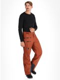 Miniatura Helly Hansen, Garibaldi 2.0 pantaloni da sci uomo Iron Oxide marrone 