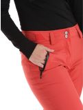 Miniatura Helly Hansen, Legendary pantaloni da sci donna Poppy Red rosso 