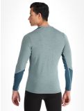 Miniatura Helly Hansen, Lifa Merino Midweight Crew maglia termica uomo Cactus verde 