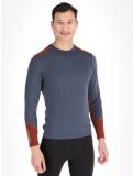 Miniatura Helly Hansen, Lifa Merino Midweight Crew maglia termica uomo Alpine Frost grigio 