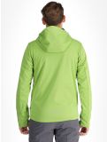 Miniatura Icepeak, Biggs softshell uomo Asparagus verde 