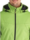 Miniatura Icepeak, Biggs softshell uomo Asparagus verde 