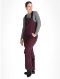 Miniatura Icepeak, Cantrall pantaloni da sci donna Plum viola 