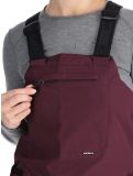 Miniatura Icepeak, Cantrall pantaloni da sci donna Plum viola 