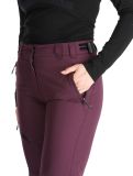 Miniatura Icepeak, Curlew pantaloni da sci donna Plum viola 