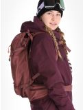 Miniatura Icepeak, Curran giacca sci donna Plum viola 