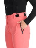 Miniatura Icepeak, Florence pantaloni da sci donna Pink rosa 