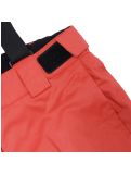 Miniatura Icepeak, Lorena Jr pantaloni da sci bambino Cranberry rosso 