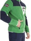 Miniatura Napapijri, Yupik FZ 3 gilet uomo Kelly Green verde 