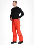 Miniatura O'Neill, Hammer Regular Snow pantaloni da sci uomo Paprika Flame arancio 