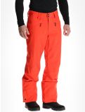 Miniatura O'Neill, Hammer Regular Snow pantaloni da sci uomo Paprika Flame arancio 