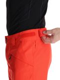 Miniatura O'Neill, Hammer Regular Snow pantaloni da sci uomo Paprika Flame arancio 