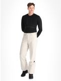 Miniatura O'Neill, Hammer Regular Snow pantaloni da sci uomo Atmosphere bianco 