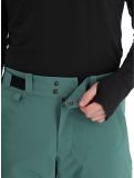 Miniatura Peak Performance, M Insulated Ski pantaloni da sci uomo Smoke Pine verde 