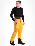 Miniatura Picture, Impact pantaloni da sci uomo Autumn Blaze giallo 