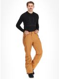 Miniatura Picture, Plan pantaloni da sci uomo Brown Sugar marrone 