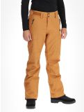 Miniatura Picture, Plan pantaloni da sci uomo Brown Sugar marrone 