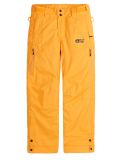 Miniatura Picture, Time pantaloni da sci bambino Autumn Blaze giallo 