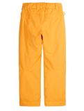 Miniatura Picture, Time pantaloni da sci bambino Autumn Blaze giallo 