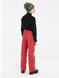 Miniatura Protest, PRTSTERIO JR pantaloni da sci bambino Barn Red rosso 