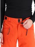 Miniatura Quiksilver, Boundry pantaloni da sci uomo Grenadine rosso 