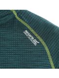 Miniatura Regatta, Yonder maglione uomo deep pine verde