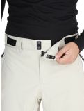 Miniatura Rehall, Benn-R pantaloni da sci uomo Gravel Stone beige 