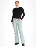 Miniatura Rehall, Stormy-R pantaloni da sci donna Jadeite grigio 