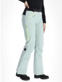 Miniatura Rehall, Stormy-R pantaloni da sci donna Jadeite grigio 