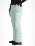 Miniatura Rehall, Stormy-R pantaloni da sci donna Jadeite grigio 