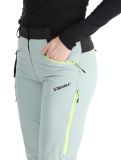 Miniatura Rehall, Stormy-R pantaloni da sci donna Jadeite grigio 