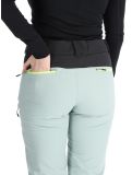 Miniatura Rehall, Stormy-R pantaloni da sci donna Jadeite grigio 