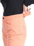 Miniatura Roxy, Backyard pantaloni da sci donna Peach Pink rosa 