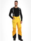 Miniatura Tenson, Aerismo pantaloni da sci uomo Spectra yellow giallo 